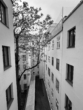 Bild - Gut geschnittene AltbauWohnung
