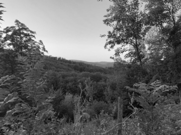 Baugrundstück mit traumhaftem Blick für Ihr Einfamilienhaus – Steile Hanglage, 1140 Wien, Grundstück