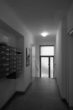 Bild - TerrassenWohnung in guter Lage
