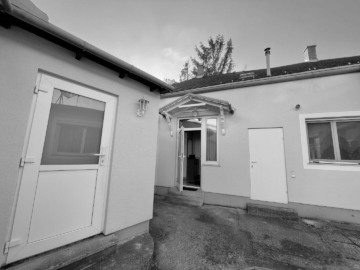 Grosse Wohnung in sehr guter Lage – sanierungsbedürftig, 2340 Mödling, Haus