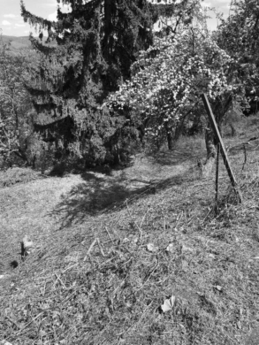 Unverbaubarer Blick ins Grüne – steile Hanglage – Wunderschönes Grundstück für Ihr Zuhause, 1140 Wien, Grundstück