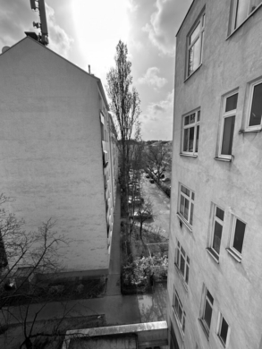 AltbauWohnung in der Van der Nüllgasse, 1100 Wien, Wohnung