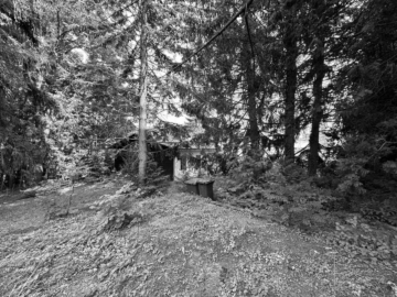 Großzügiges Grundstück mit Altbestand (kleines Häuschen) zu verkaufen, 2500 Siegenfeld, Grundstück