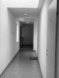 Bild - Unbefristete DachgeschossWohnung