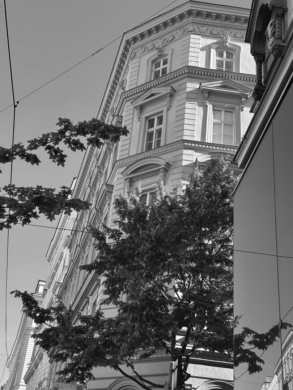 Atemberaubende großzügige AltbauWohnung Nähe Votivkirche, 1090 Wien,Alsergrund, Wohnung